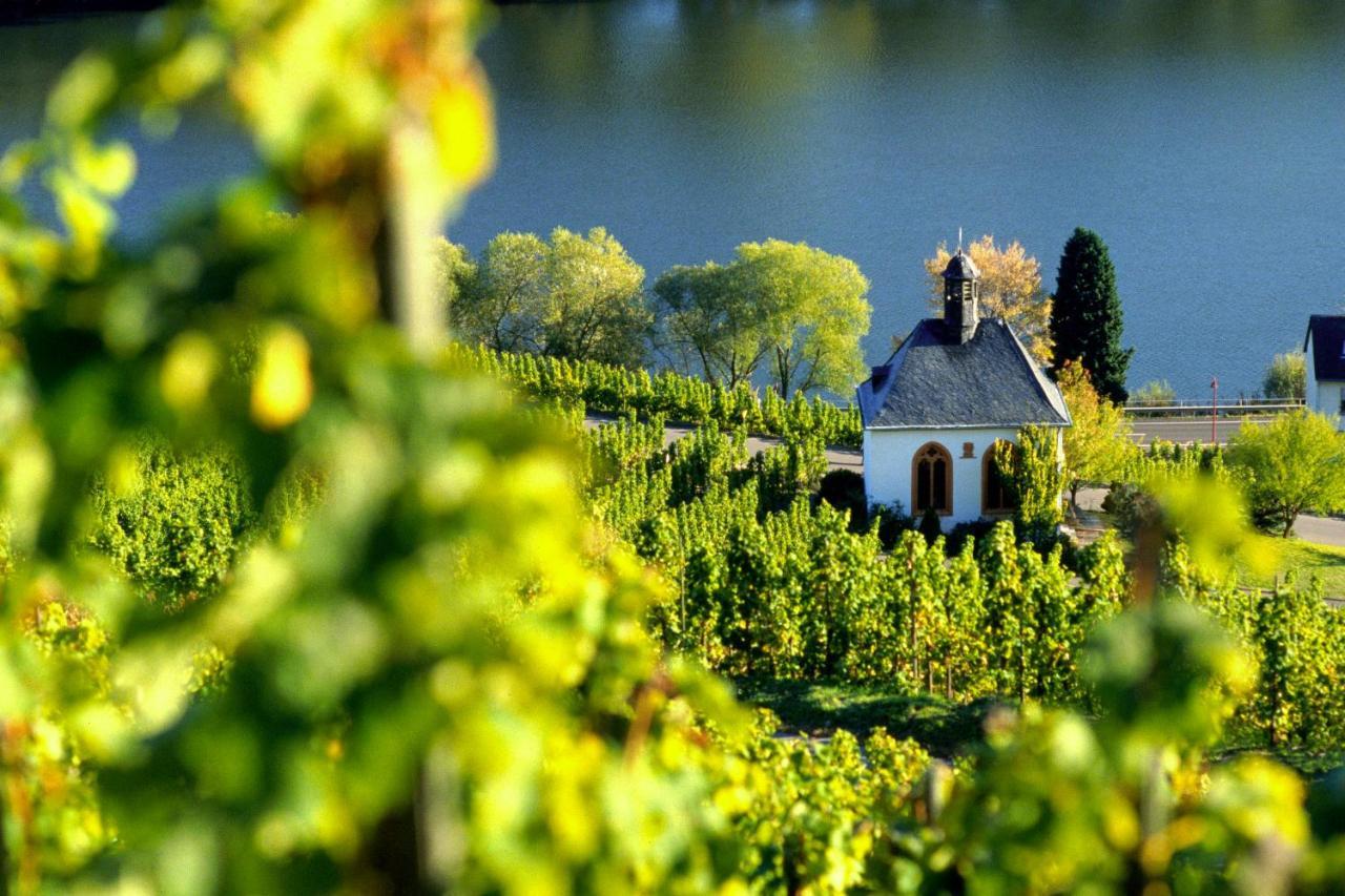 Weingut Christoffel Διαμέρισμα Kövenig Εξωτερικό φωτογραφία